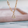 Collar Zodiac Cadena Eslabones - Atesorame